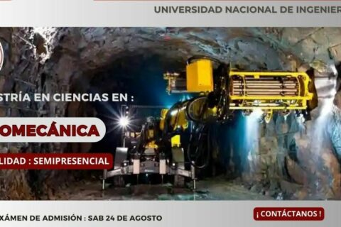 Gráfico organigrama profesores y asignaturas moderno versátil azul - Copy